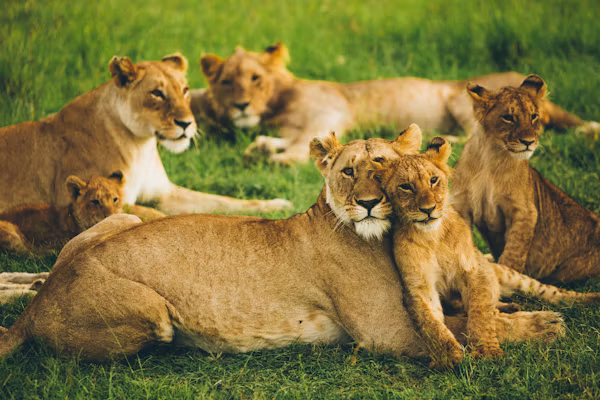 Big Five